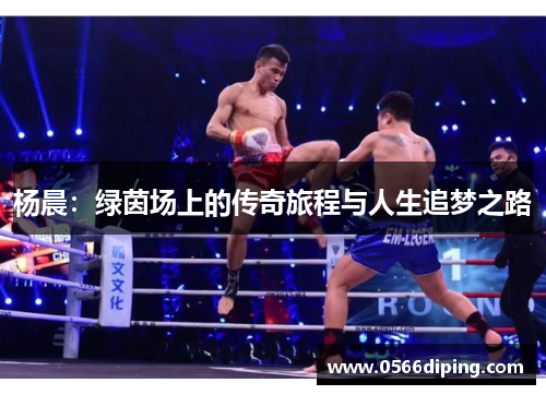 杨晨：绿茵场上的传奇旅程与人生追梦之路