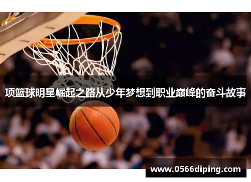项篮球明星崛起之路从少年梦想到职业巅峰的奋斗故事