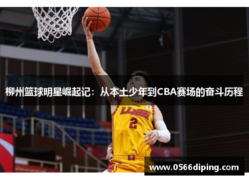 柳州篮球明星崛起记：从本土少年到CBA赛场的奋斗历程
