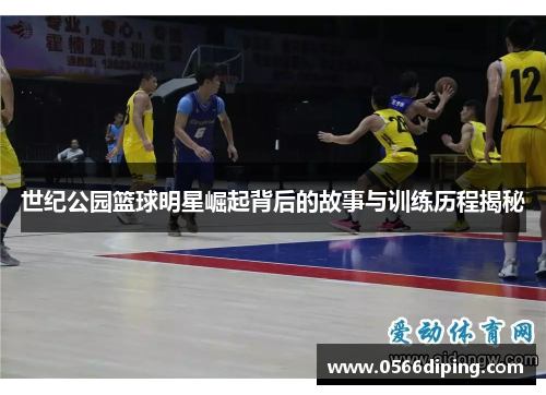 世纪公园篮球明星崛起背后的故事与训练历程揭秘