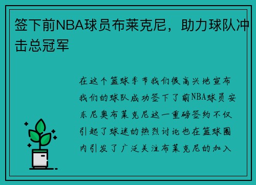 签下前NBA球员布莱克尼，助力球队冲击总冠军